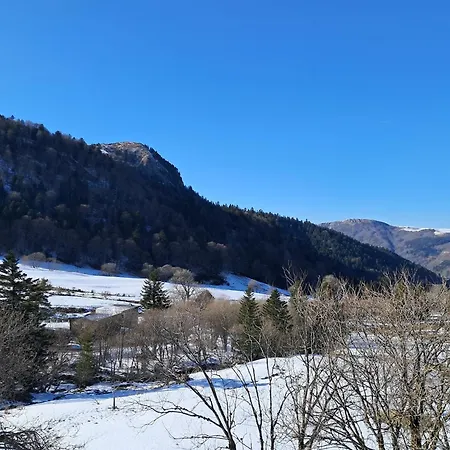 F2 Au Pied Des Pistes, 6 Couchages, - Fr-1-415-175 Mont-Dore