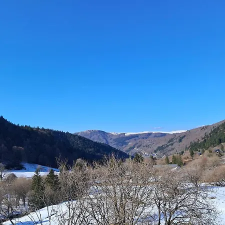 F2 Au Pied Des Pistes, 6 Couchages, - Fr-1-415-175 Mont-Dore