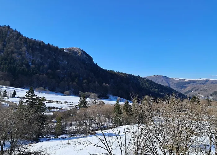 F2 Au Pied Des Pistes, 6 Couchages, - Fr-1-415-175 Mont-Dore