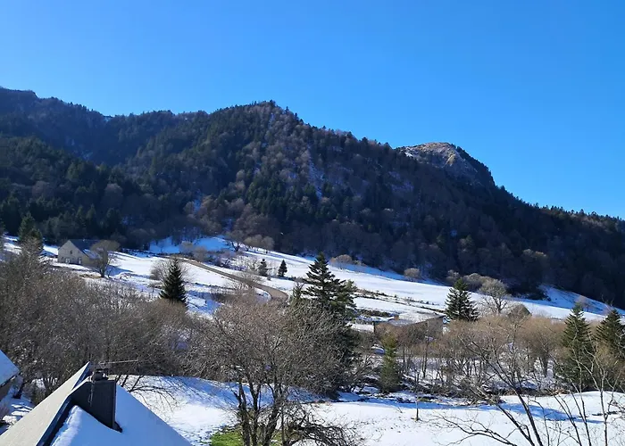 F2 Au Pied Des Pistes, 6 Couchages, - Fr-1-415-175 * Mont-Dore