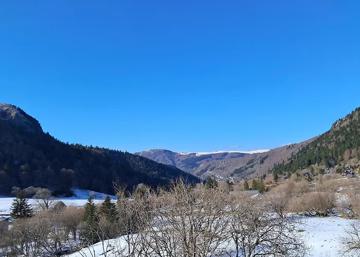 F2 Au Pied Des Pistes, 6 Couchages, - Fr-1-415-175 Mont-Dore